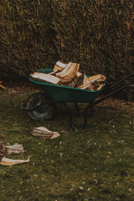 A green garden wheelbarrow filled with chopped firewood piled on top, positioned on a grassy area beside a hedge with dense greenery. The wheelbarrow's black handles extend outward, and some pieces of wood and small logs are scattered on the ground nearby. The scene appears to be outdoors, possibly in a backyard, with natural lighting. This setting relates to home maintenance or garden activity, while the image is consistent with preparations involved in house removals or packing and moving processes that Colliers Wood Removals may support.